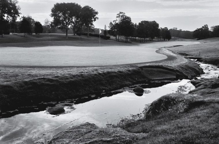 carolina golfing membership fl