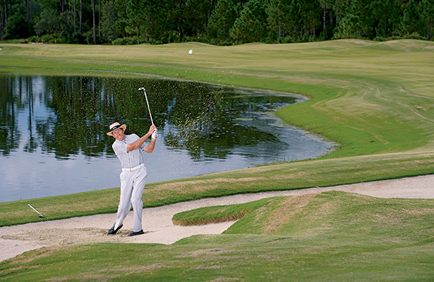 David Leadbetter