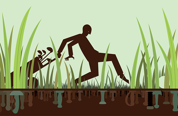 Grass Rules Illustration