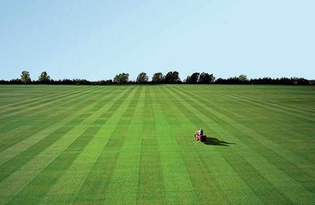 Striping It
