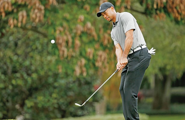 Tiger Woods