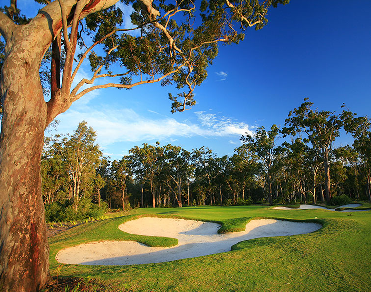 Pacific Dunes