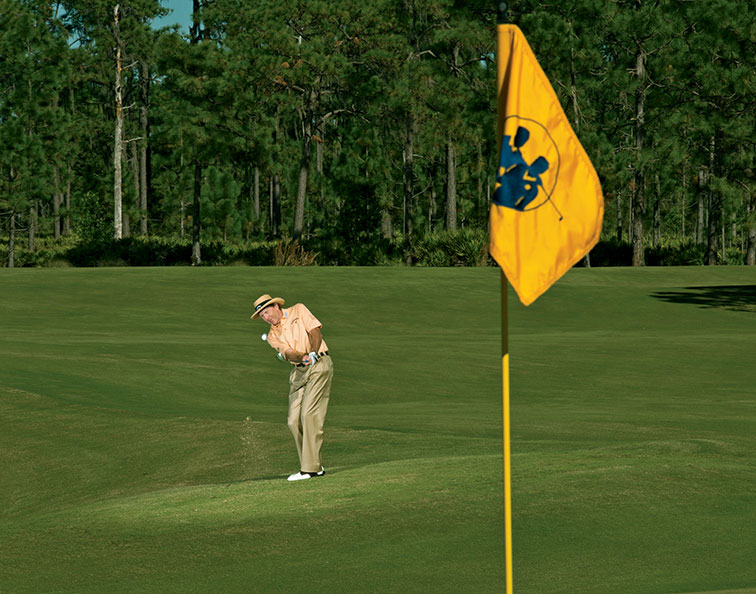 David Leadbetter
