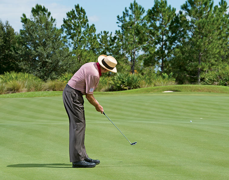 David Leadbetter