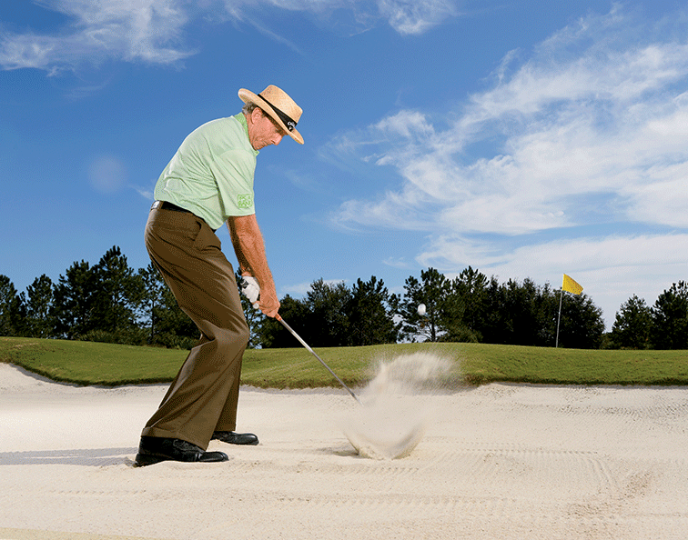 David Leadbetter