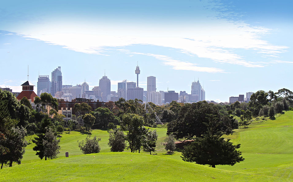 Moore Park Golf