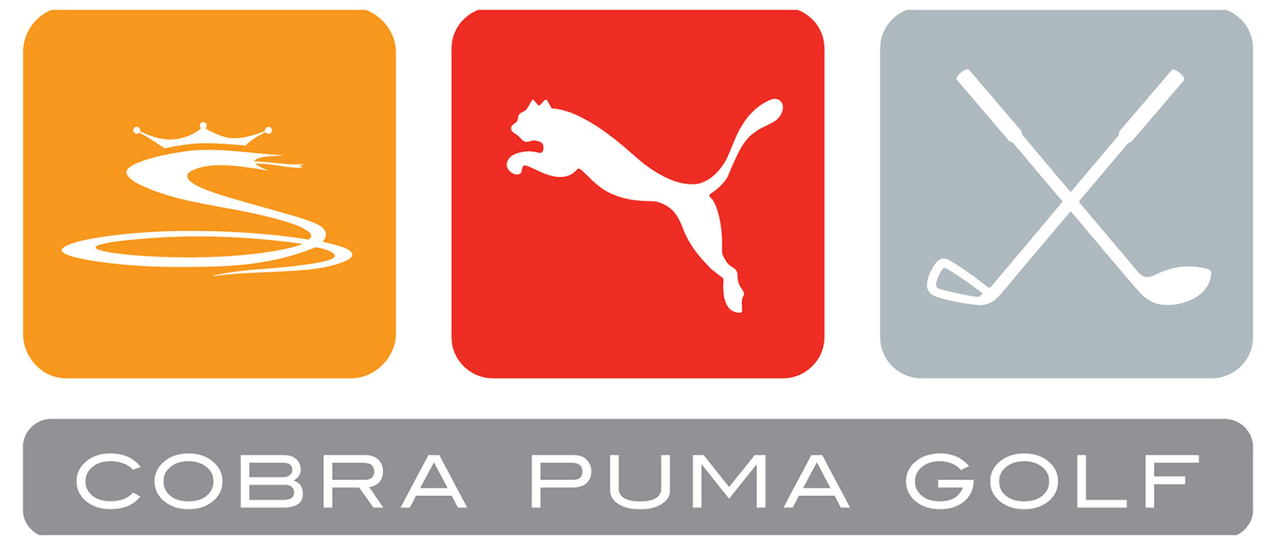 puma king cobra