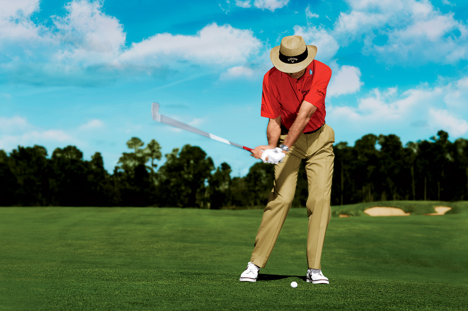 David Leadbetter