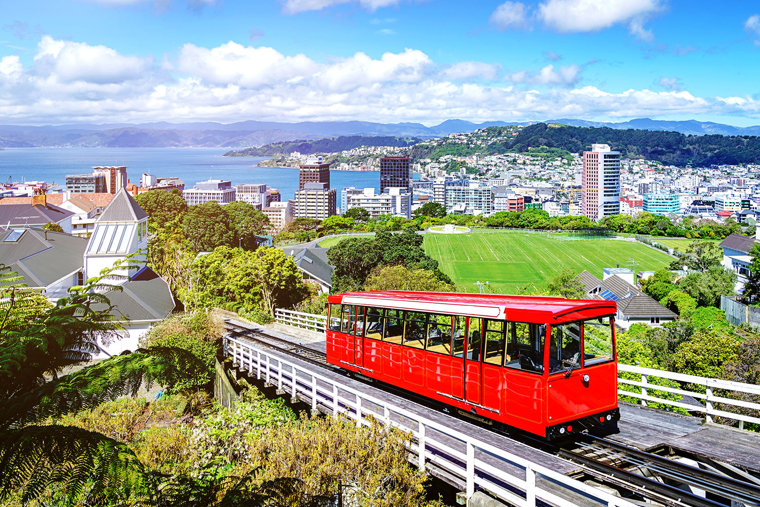 48 Hours In Wellington: A City Of Distractions - New ...