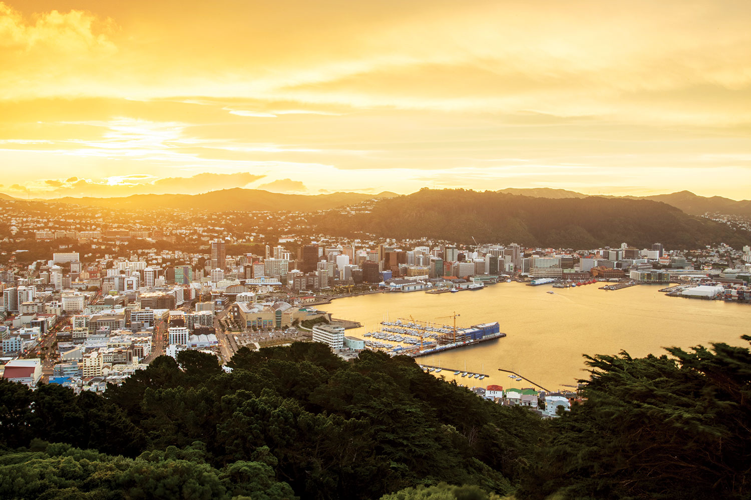 Wellington