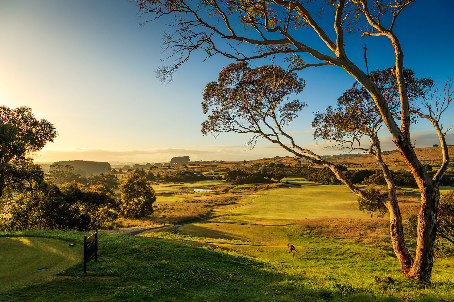Mount Compass Golf Course