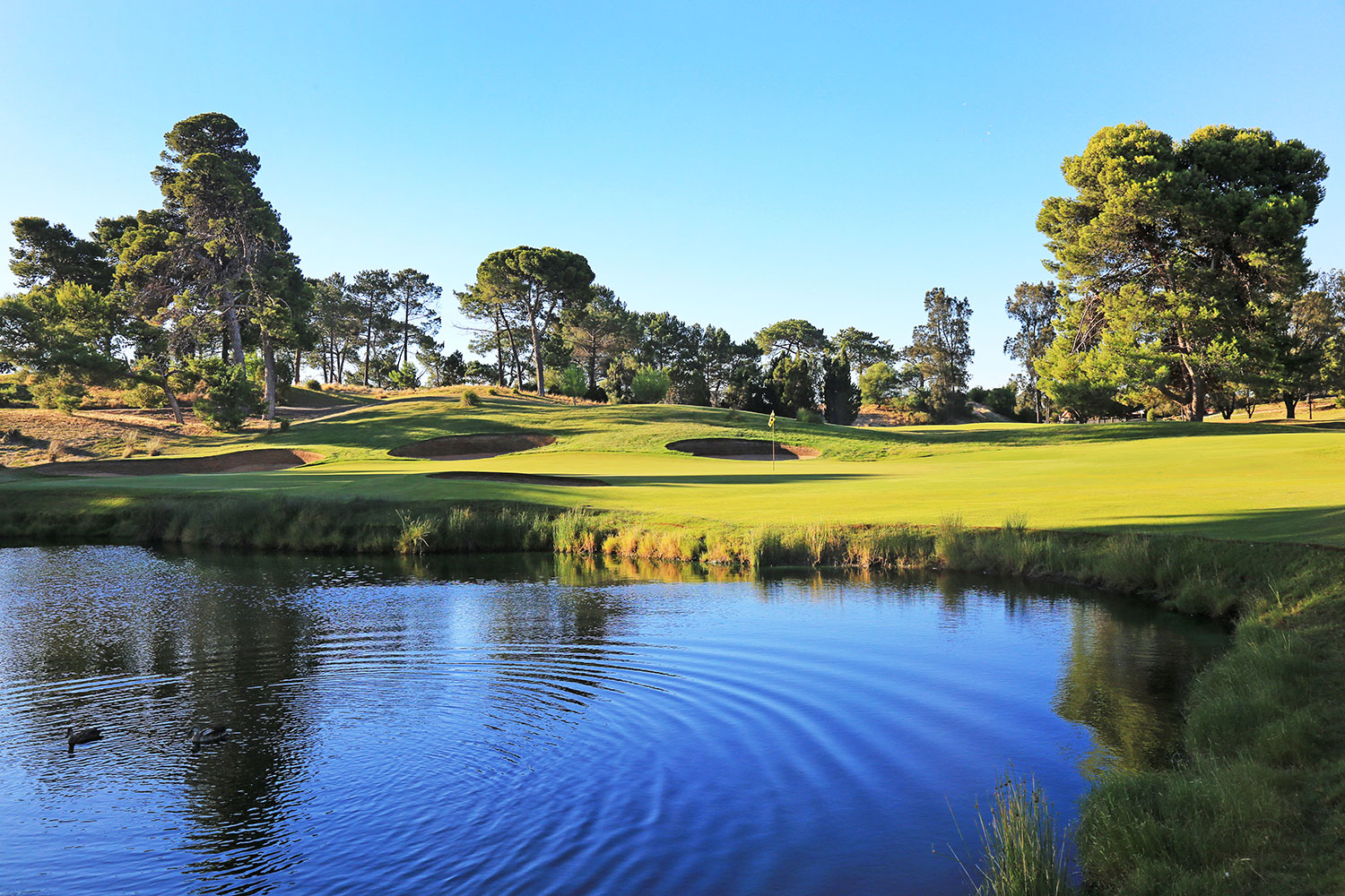 South Australian Golf