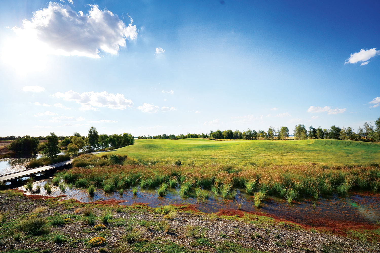 Black Bull Golf Club