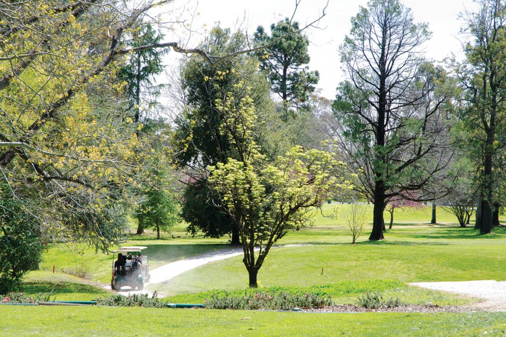 Mudgee Golf Club