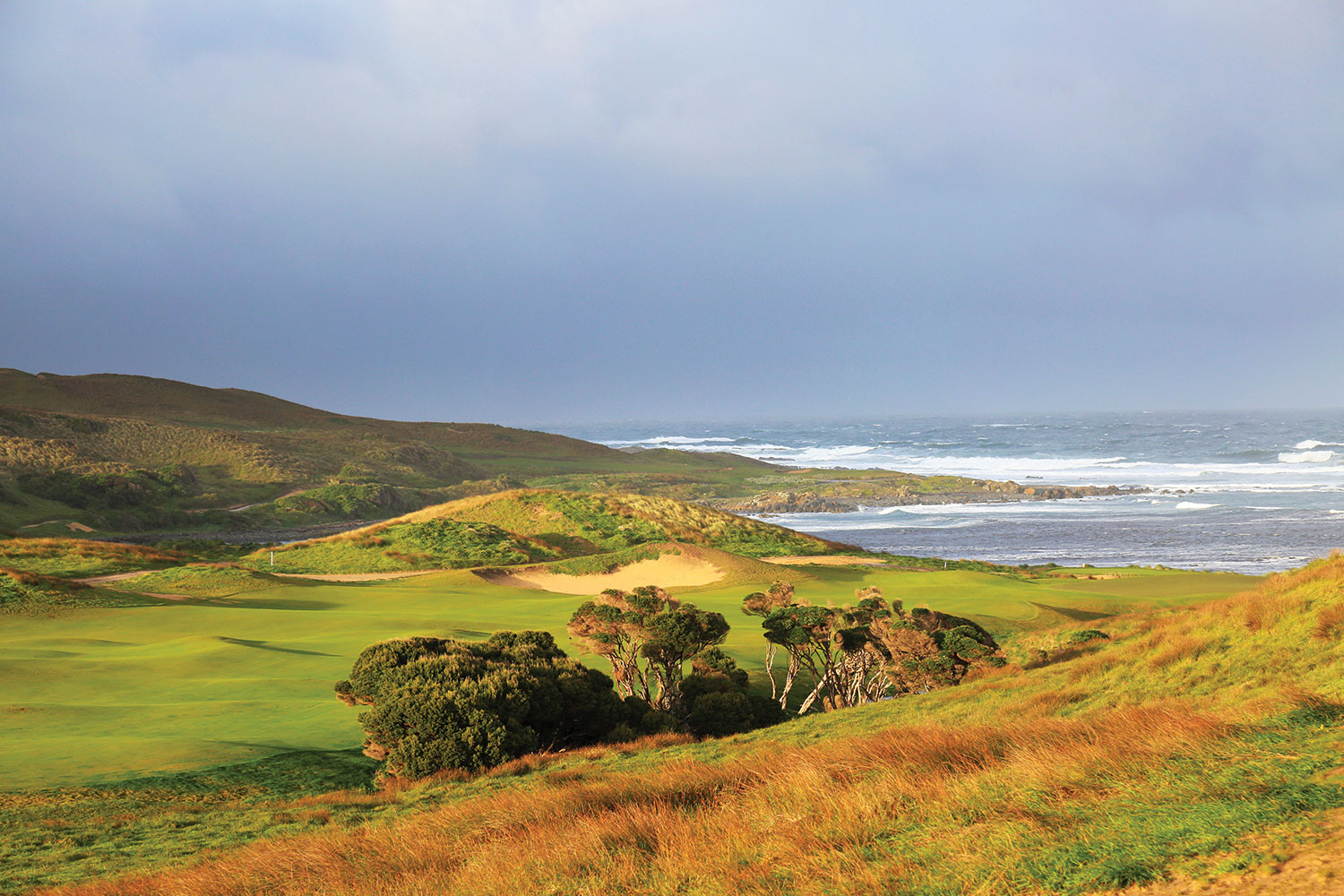 Ocean Dunes