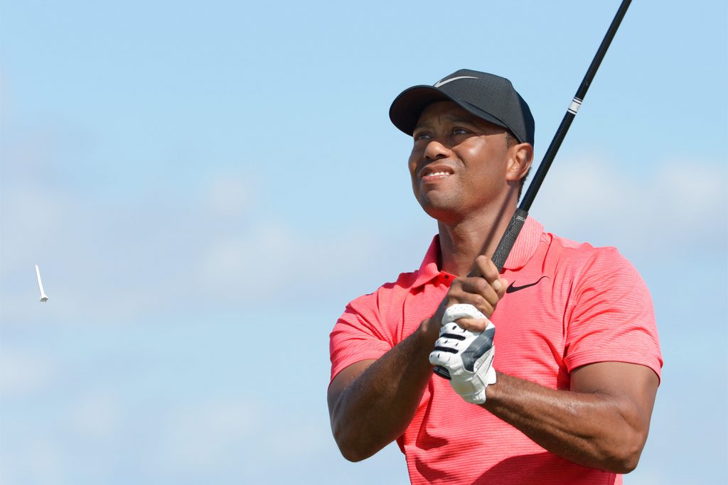 Tiger Woods Hank Haney