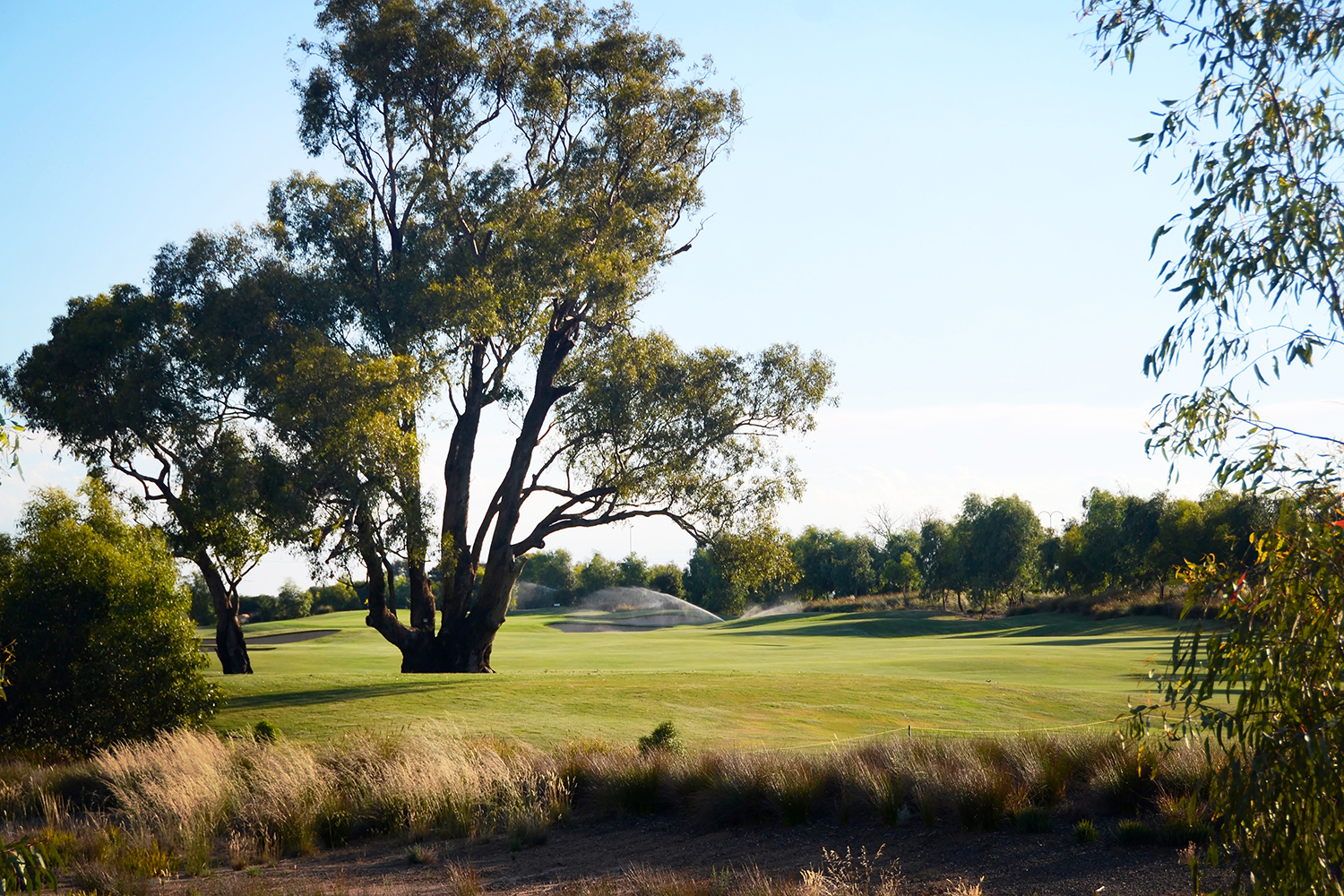 Black Bull Golf Club