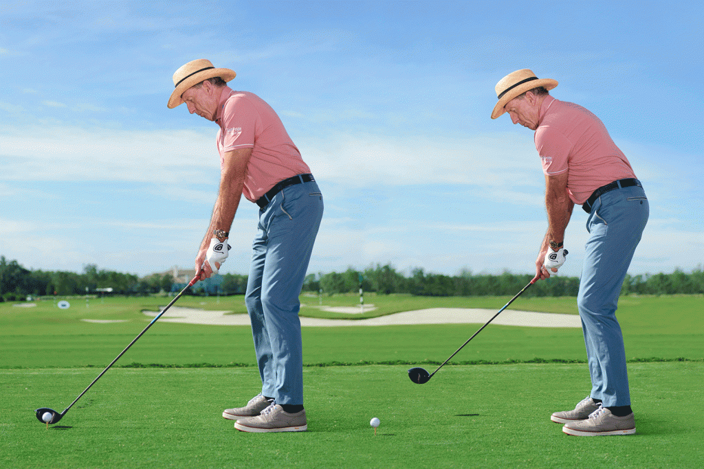 David Leadbetter