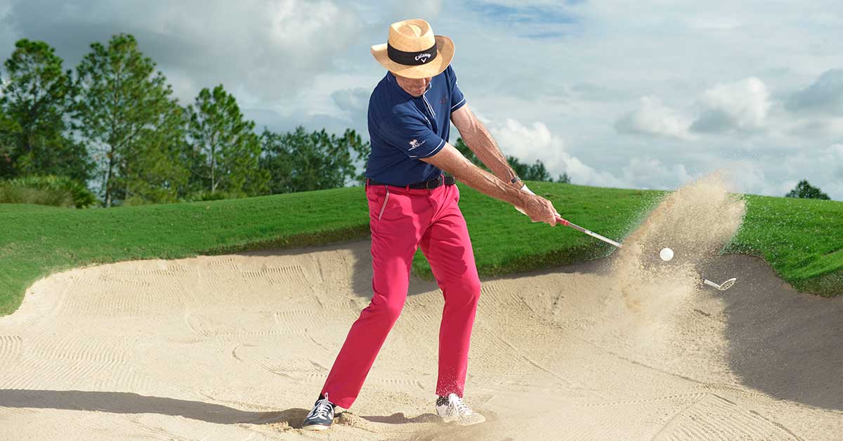 David Leadbetter