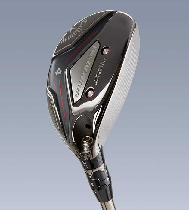 2019 Hot List: Hybrids