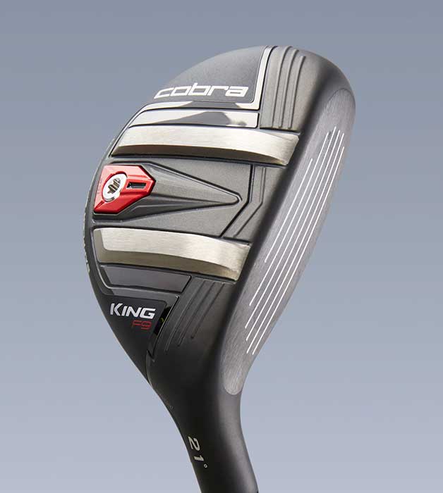 2019 Hot List: Hybrids