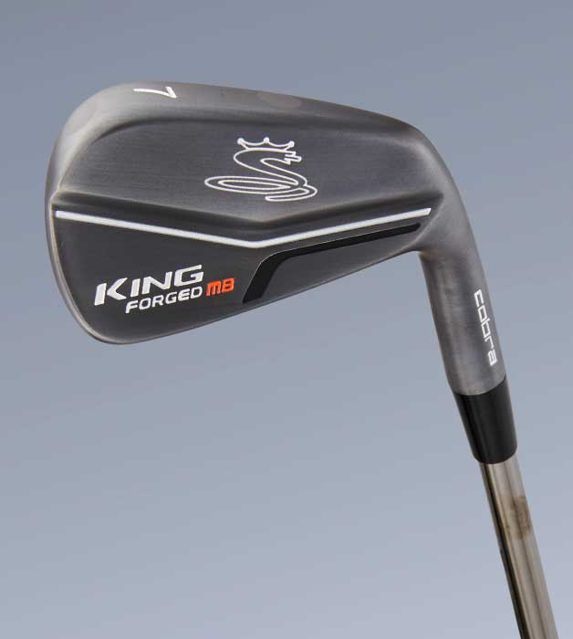 2019 Hot List: Players Irons (Cobra CB/MB)