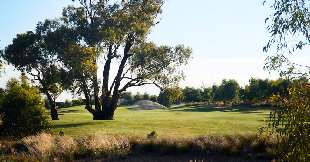 Black Bull Golf Club