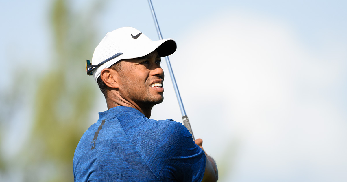 Tiger Woods - Iron Game