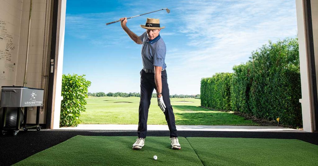 David Leadbetter instruction