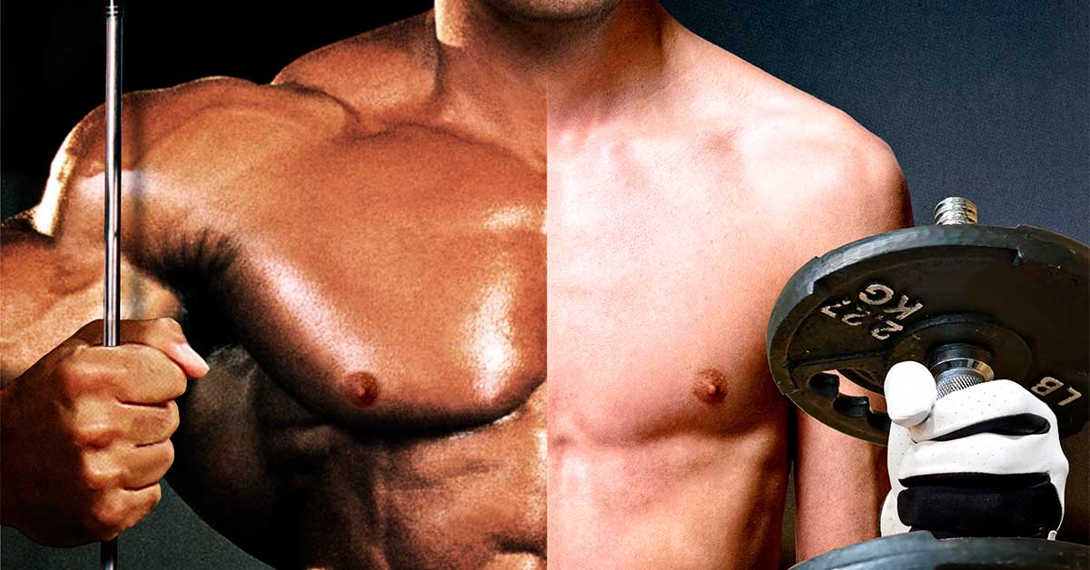 Bulk Up Like Bryson