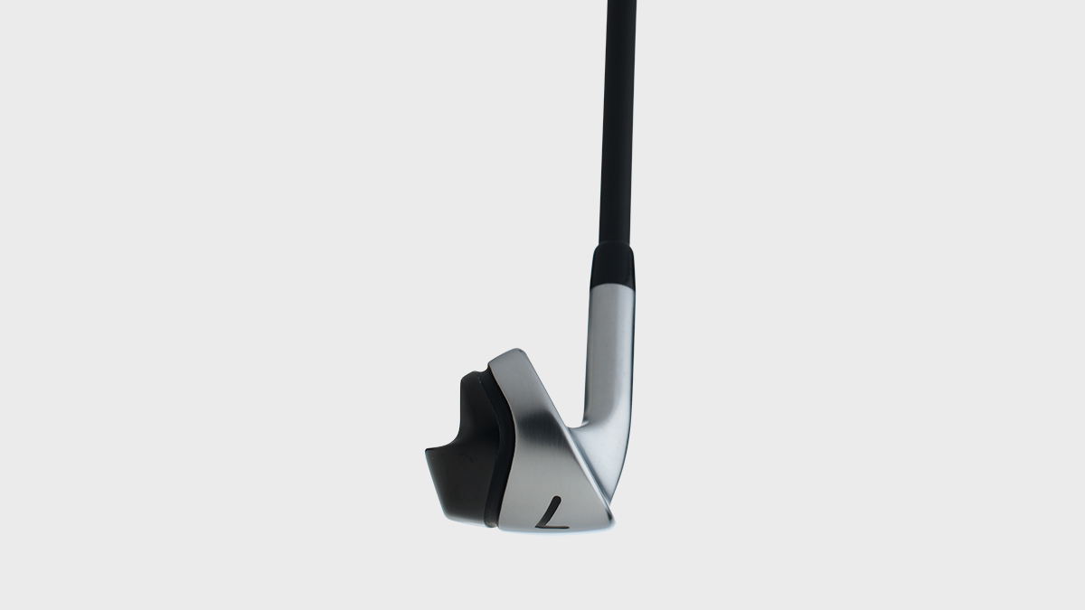 PXG 0211 Z Image 2