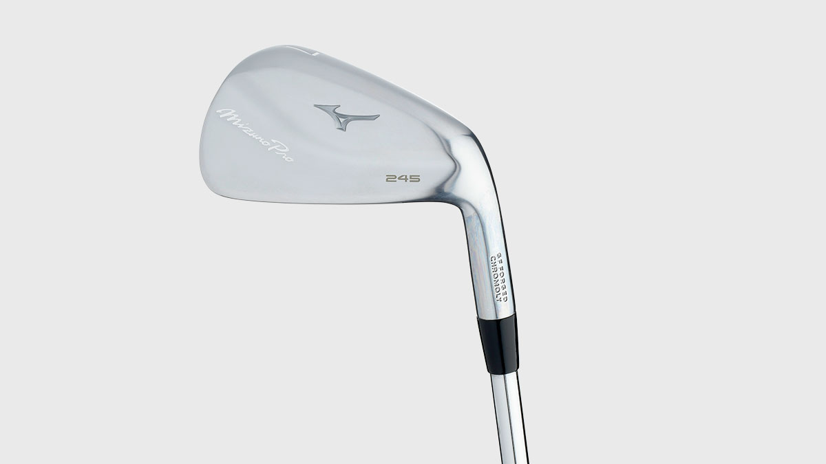 Mizuno Mizuno Pro 245 Image 0
