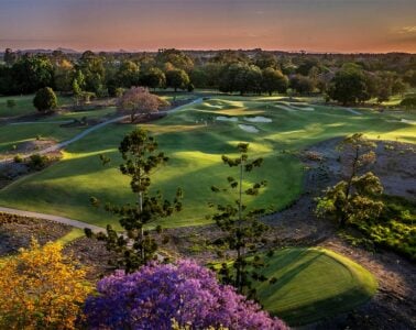 Top 100 Courses